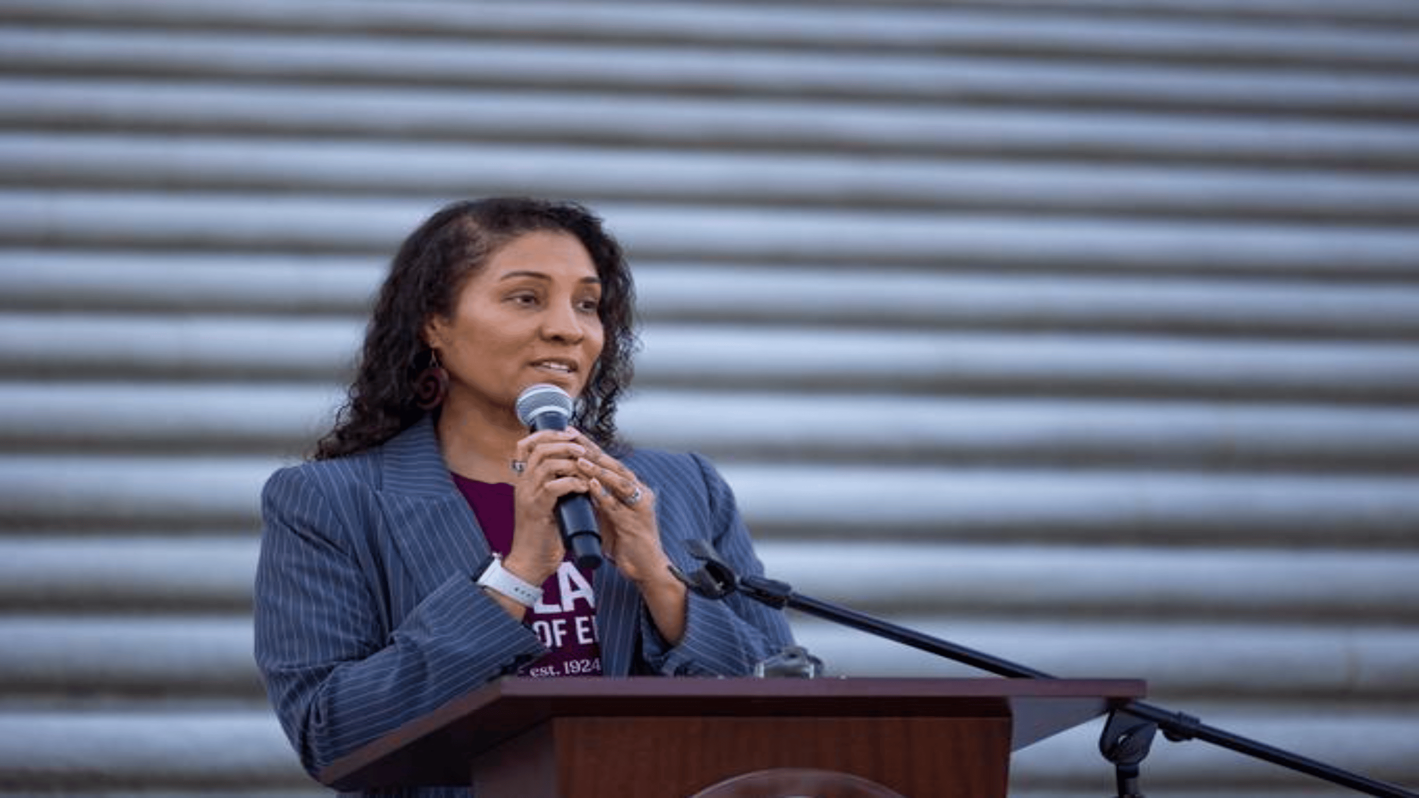 a person speaking into a microphone