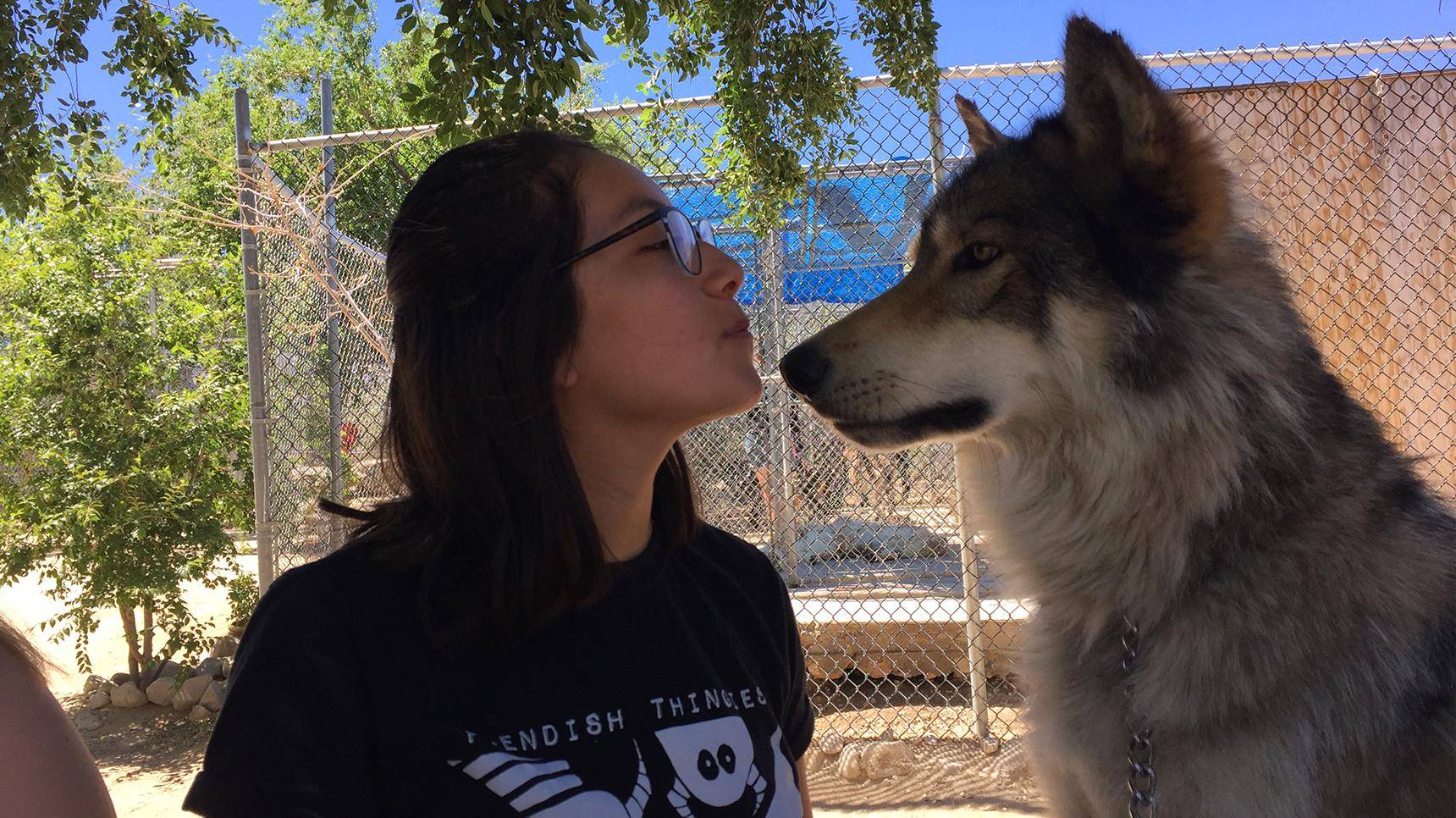 a person kissing a dog