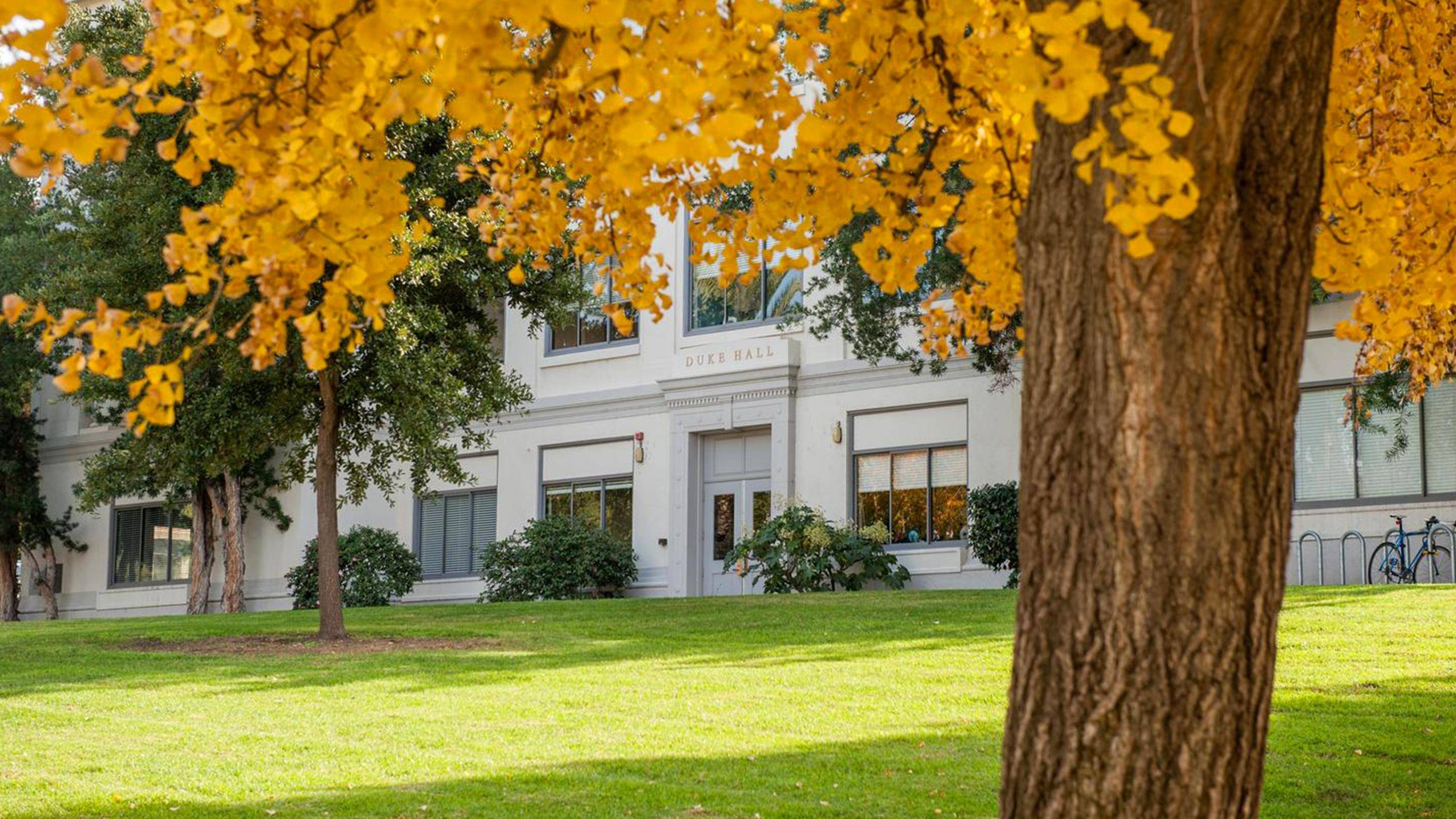 a building with trees in front of it