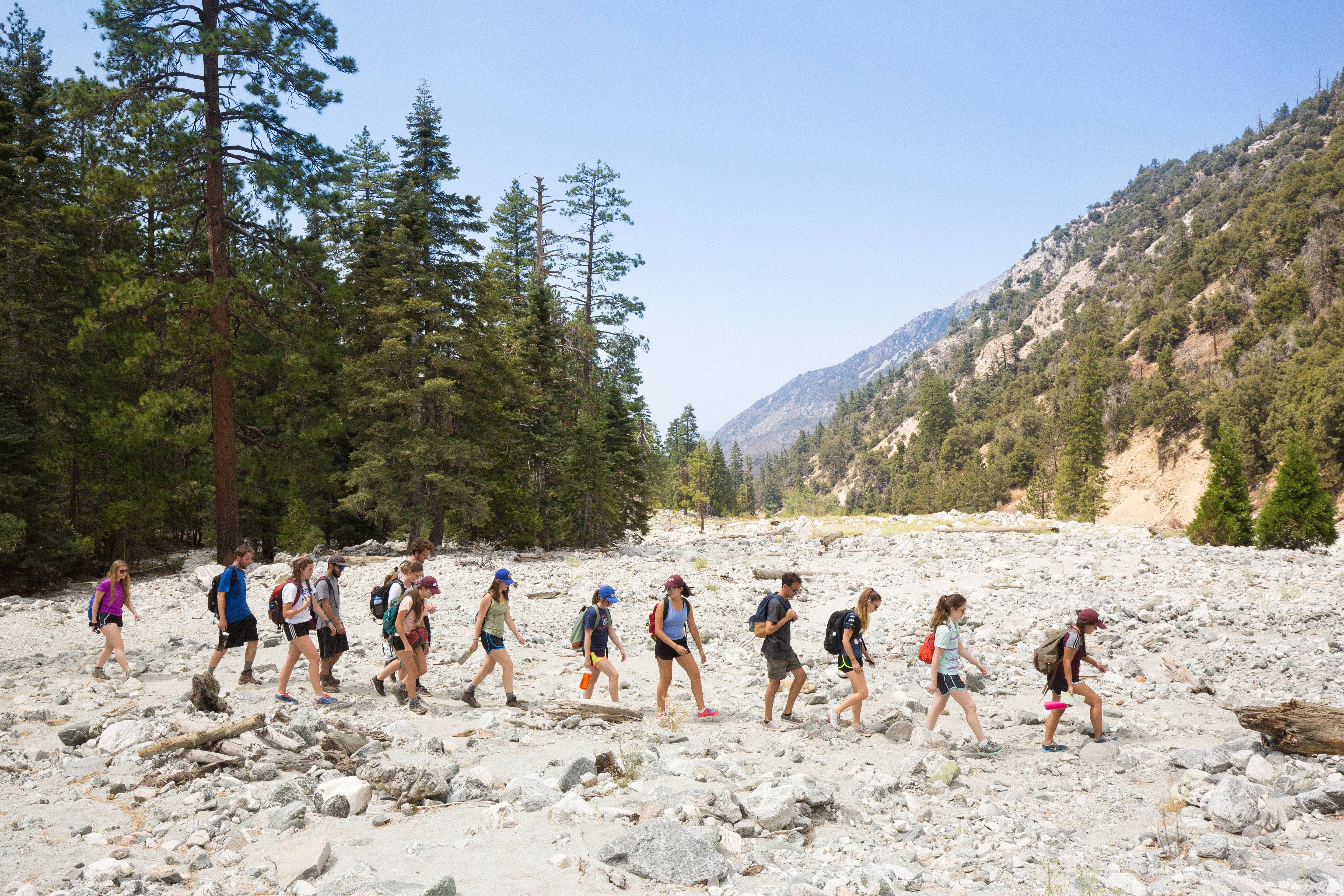 a group of people walking on a rocky area