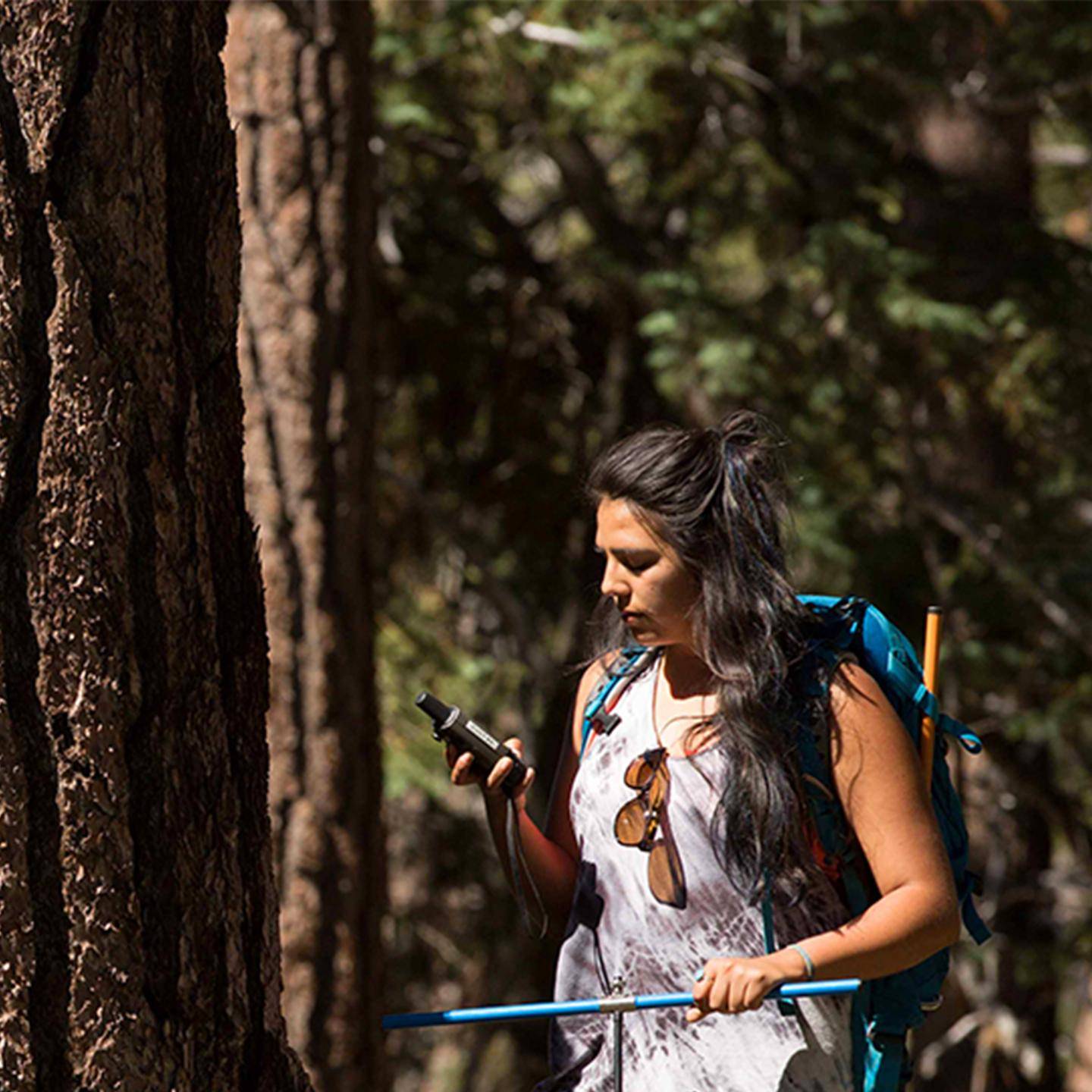 a person with a backpack and a pole in a forest