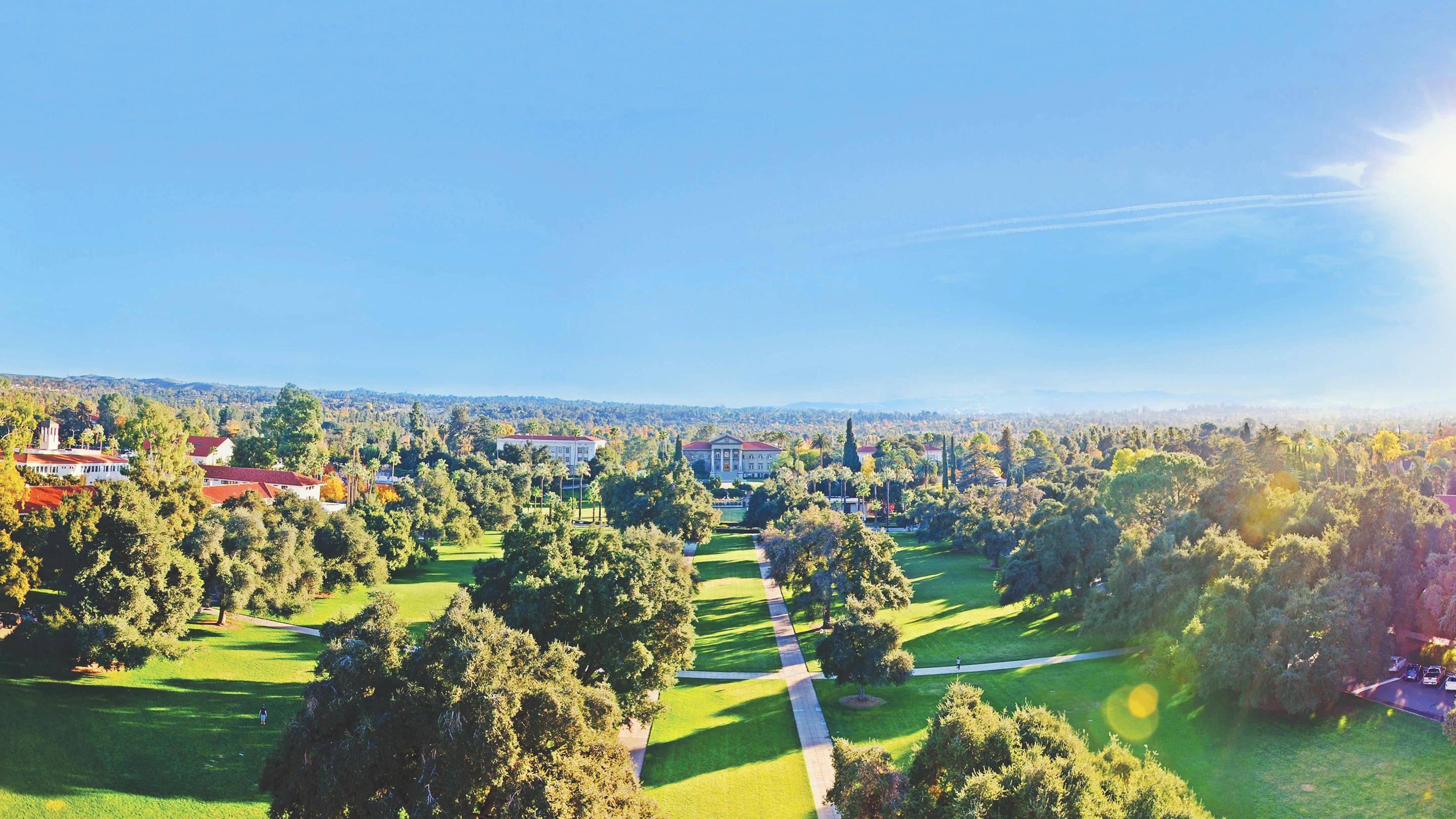 a park with trees and buildings in the background