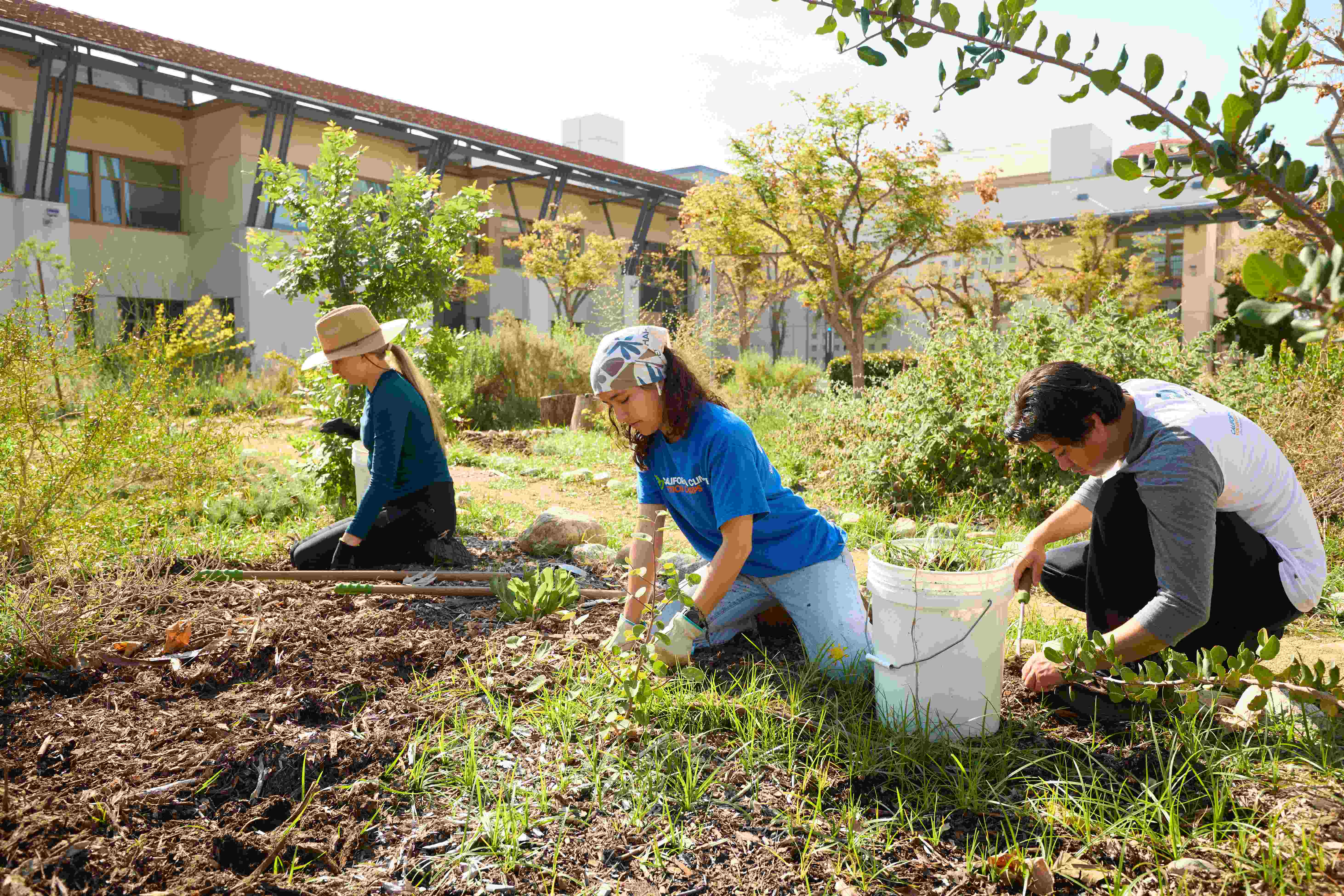 a group of students working in a garden