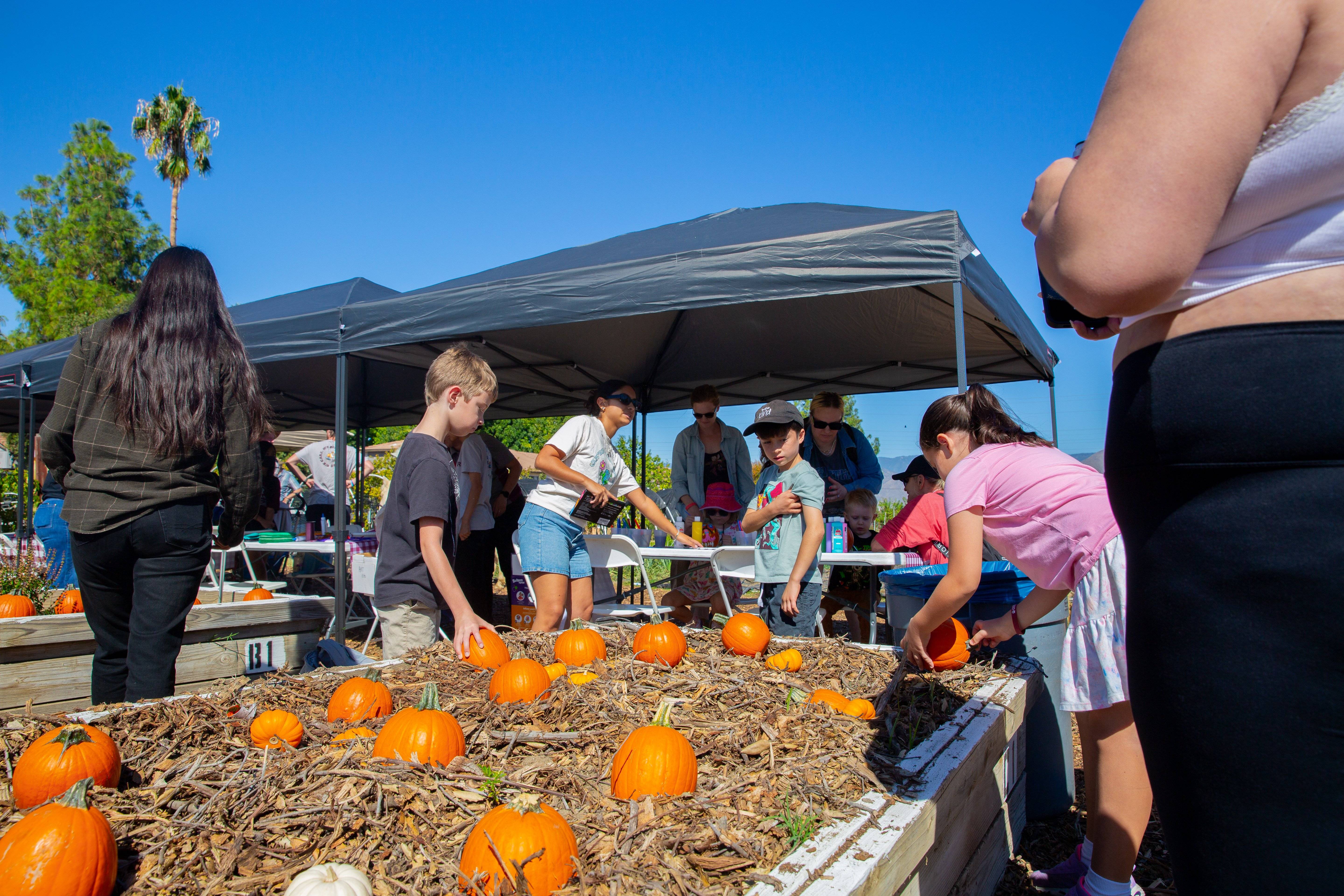 a group of people at a pumpkin patch