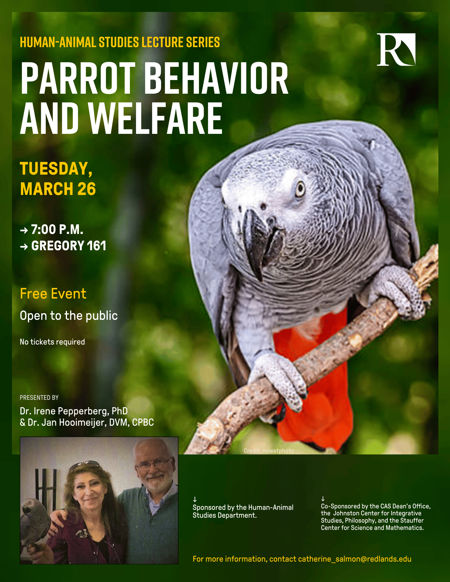 a parrot on a branch