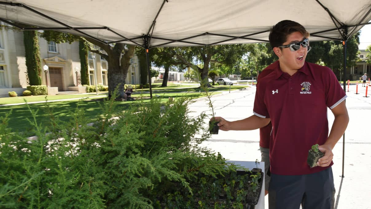 a person holding a plant under a canopy