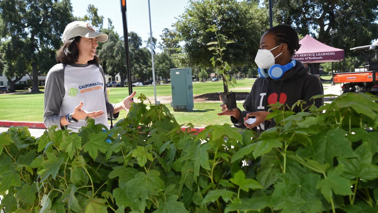 a person wearing a mask talking to a person in a park