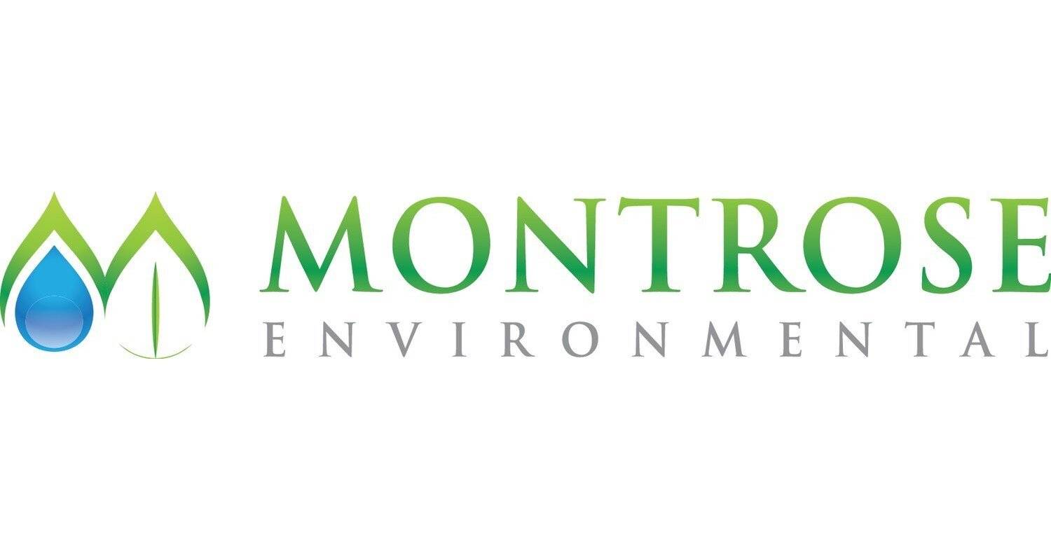 a green and grey logo