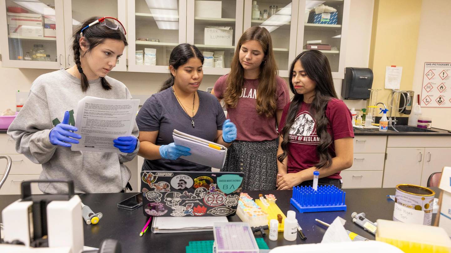  Stauffer Summer Research Program 2025