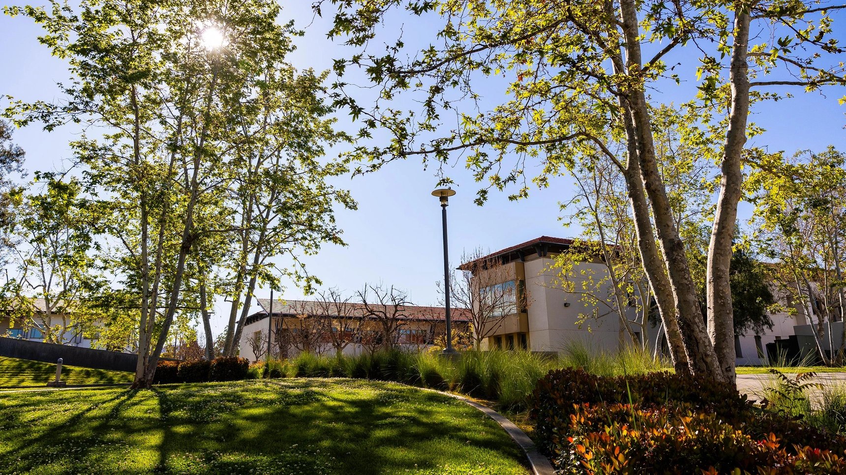 a building with trees and grass