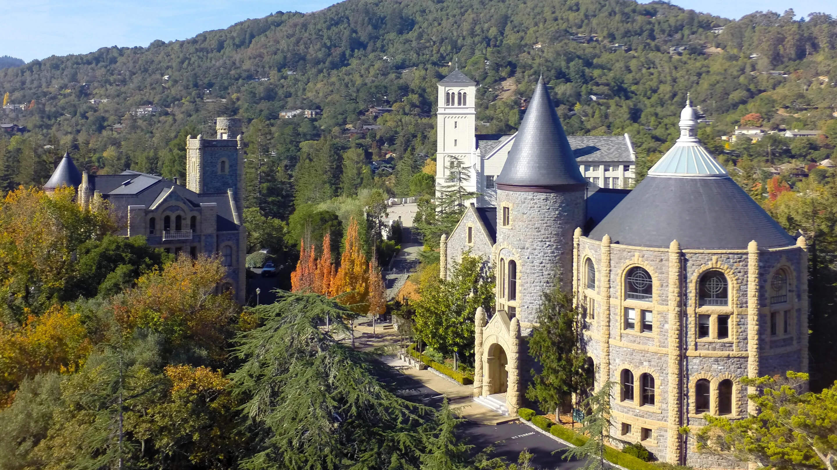 a group of buildings with trees and a hill in the background