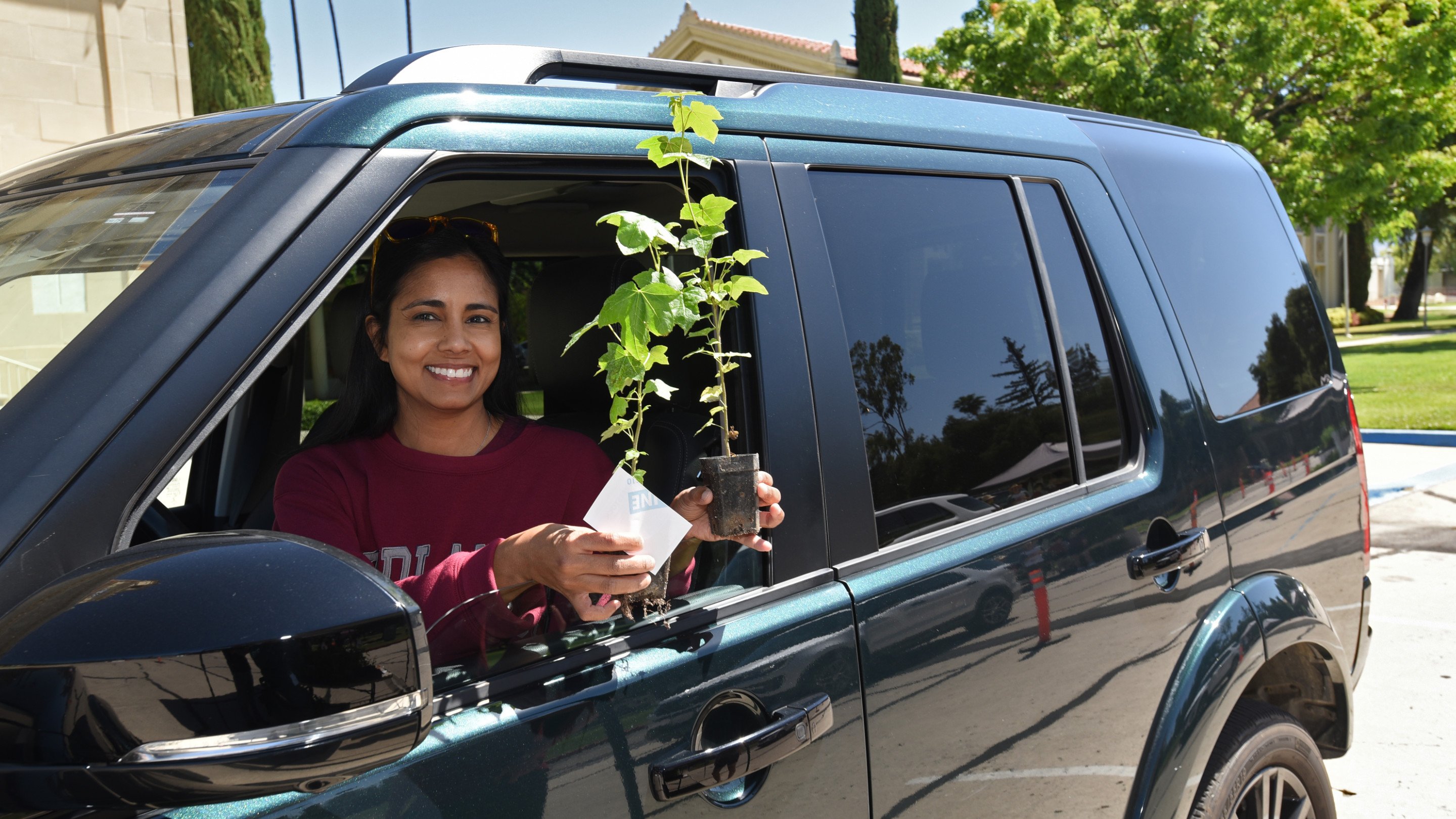 a woman holding a plant in the window of a car