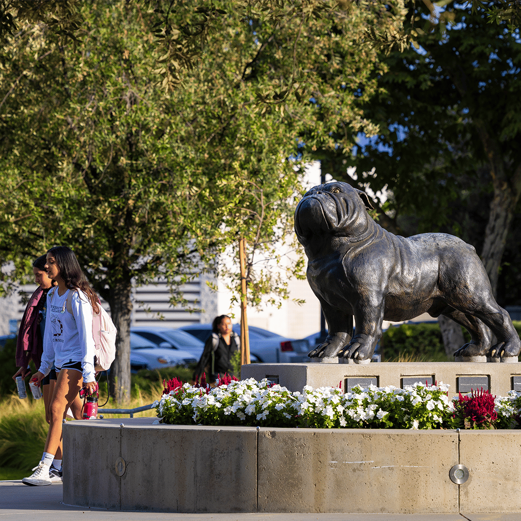 a statue of a dog in a park