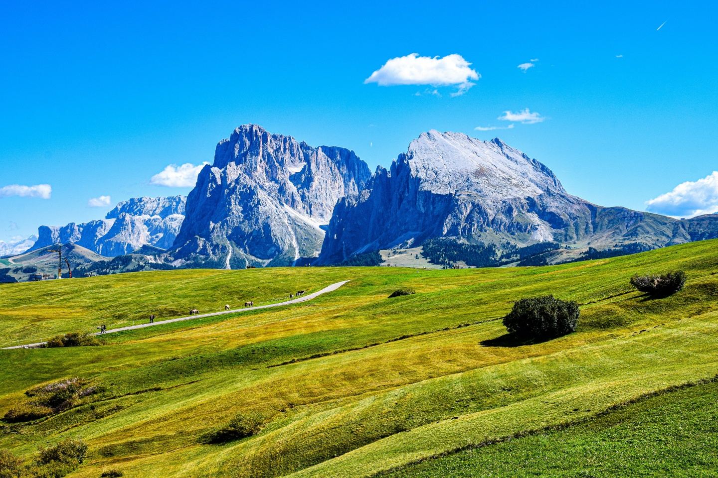 a green field with mountains in the background