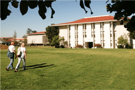 a woman standing in a grassy field