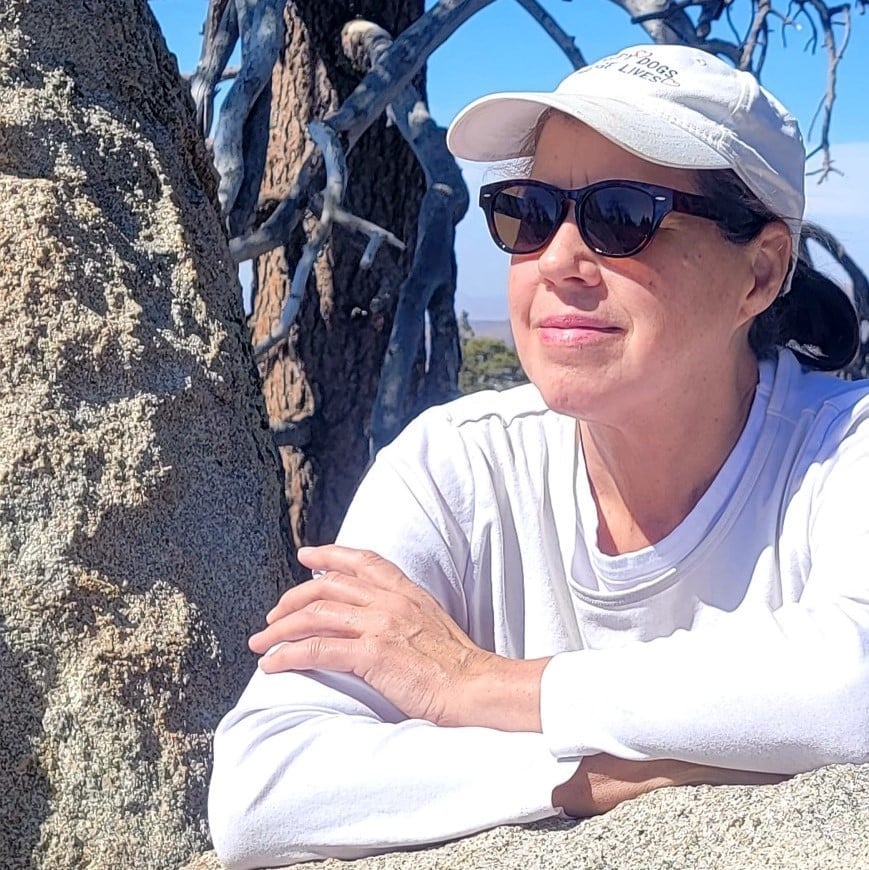 a woman in sunglasses and a hat sitting on a rock