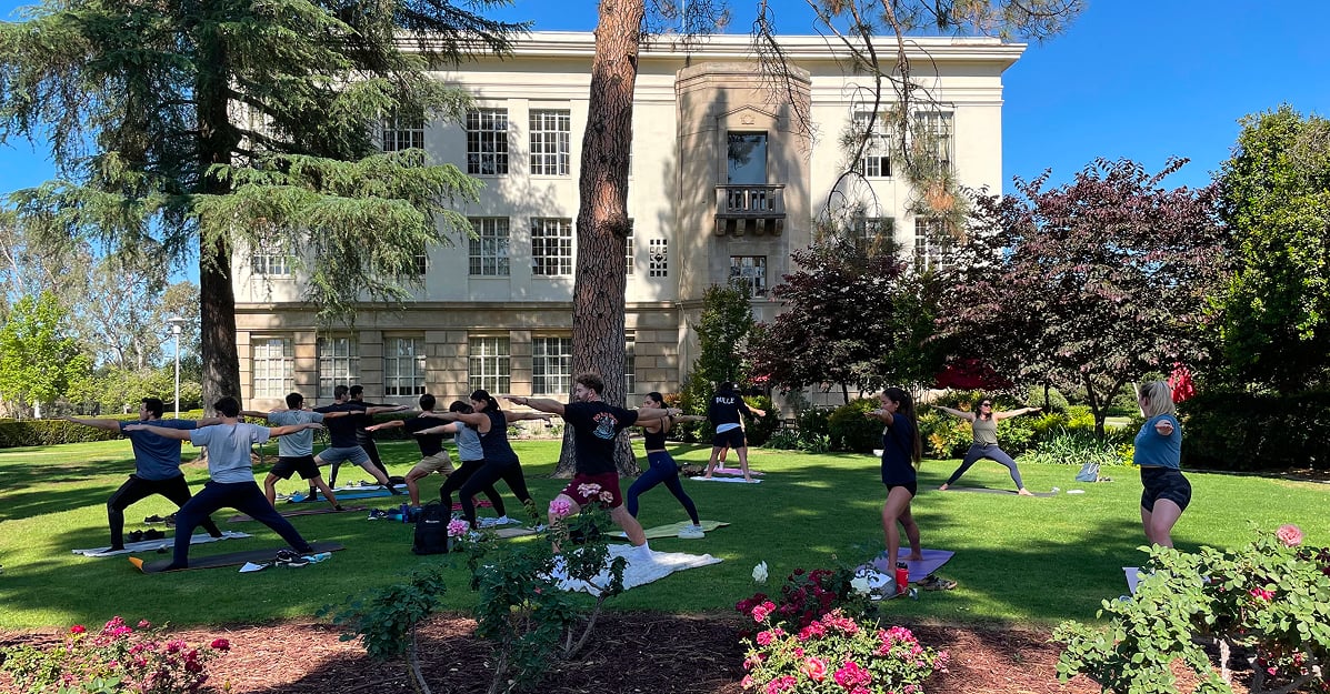 a group of people doing yoga outside