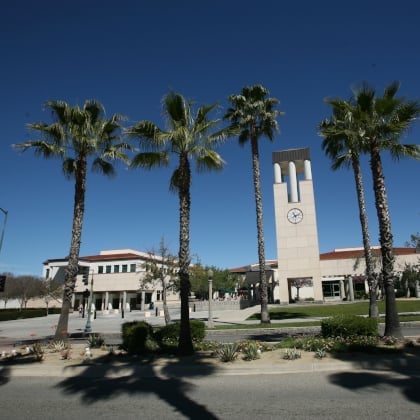 a building with palm trees
