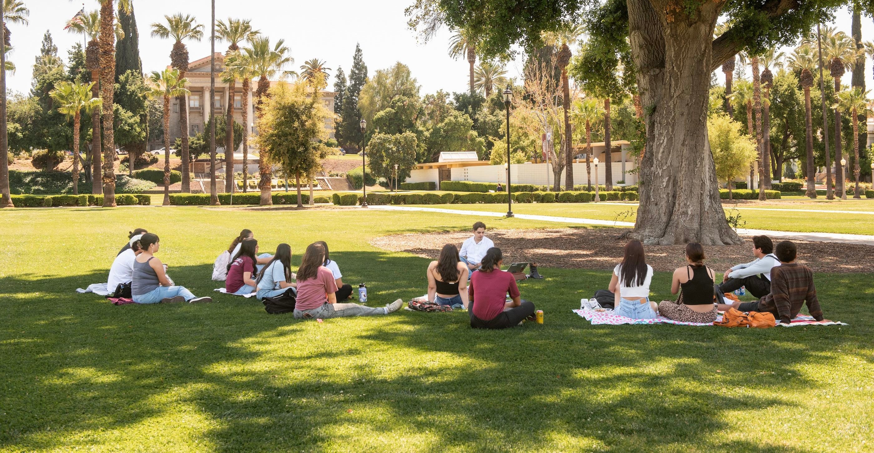 a group of people sitting on the grass
