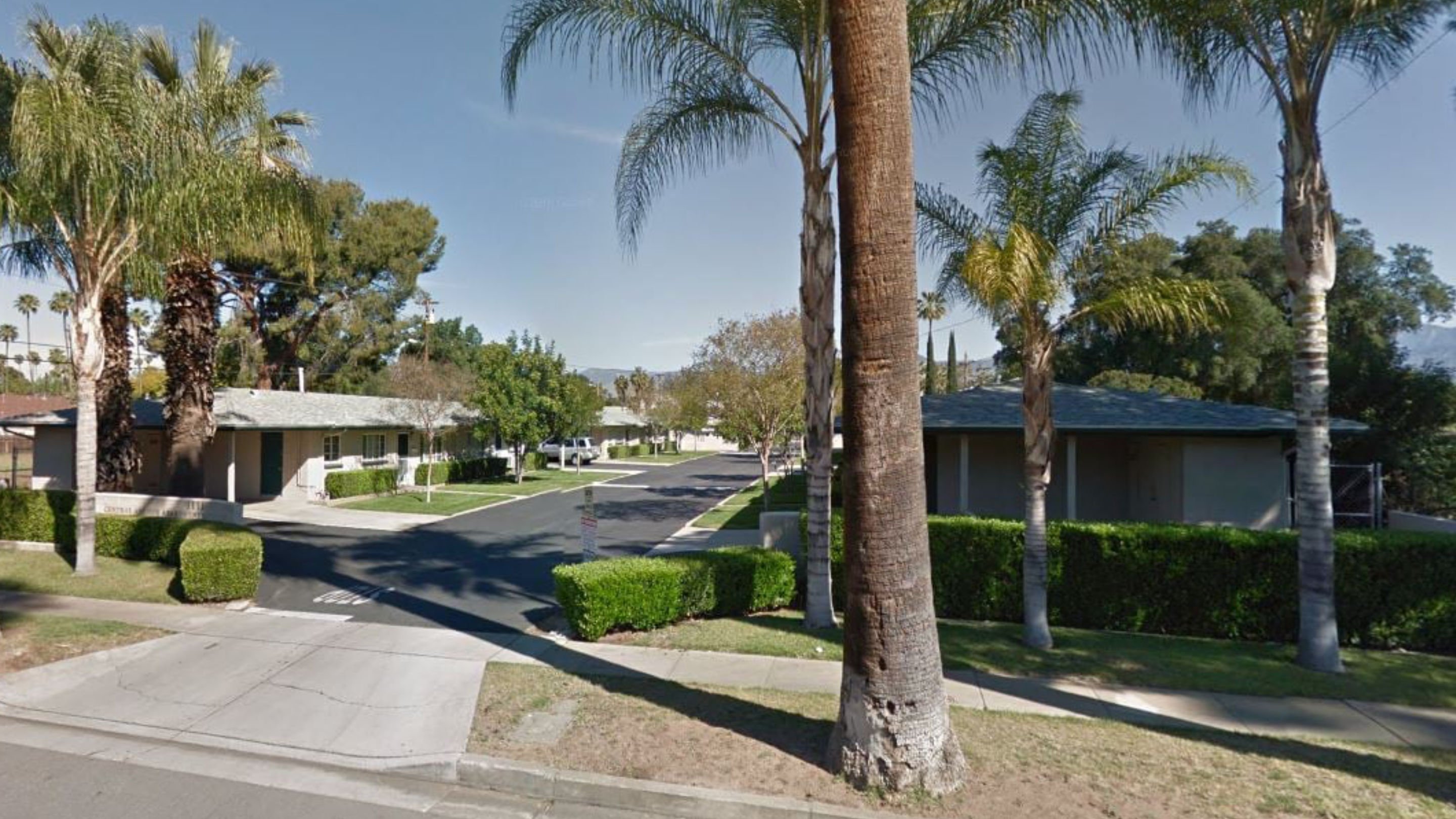 a street with palm trees and houses