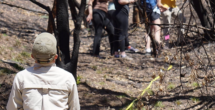 a group of people in the woods