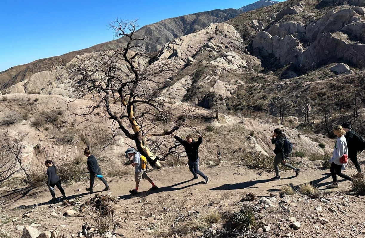 a group of people walking on a dirt path with a tree in the background