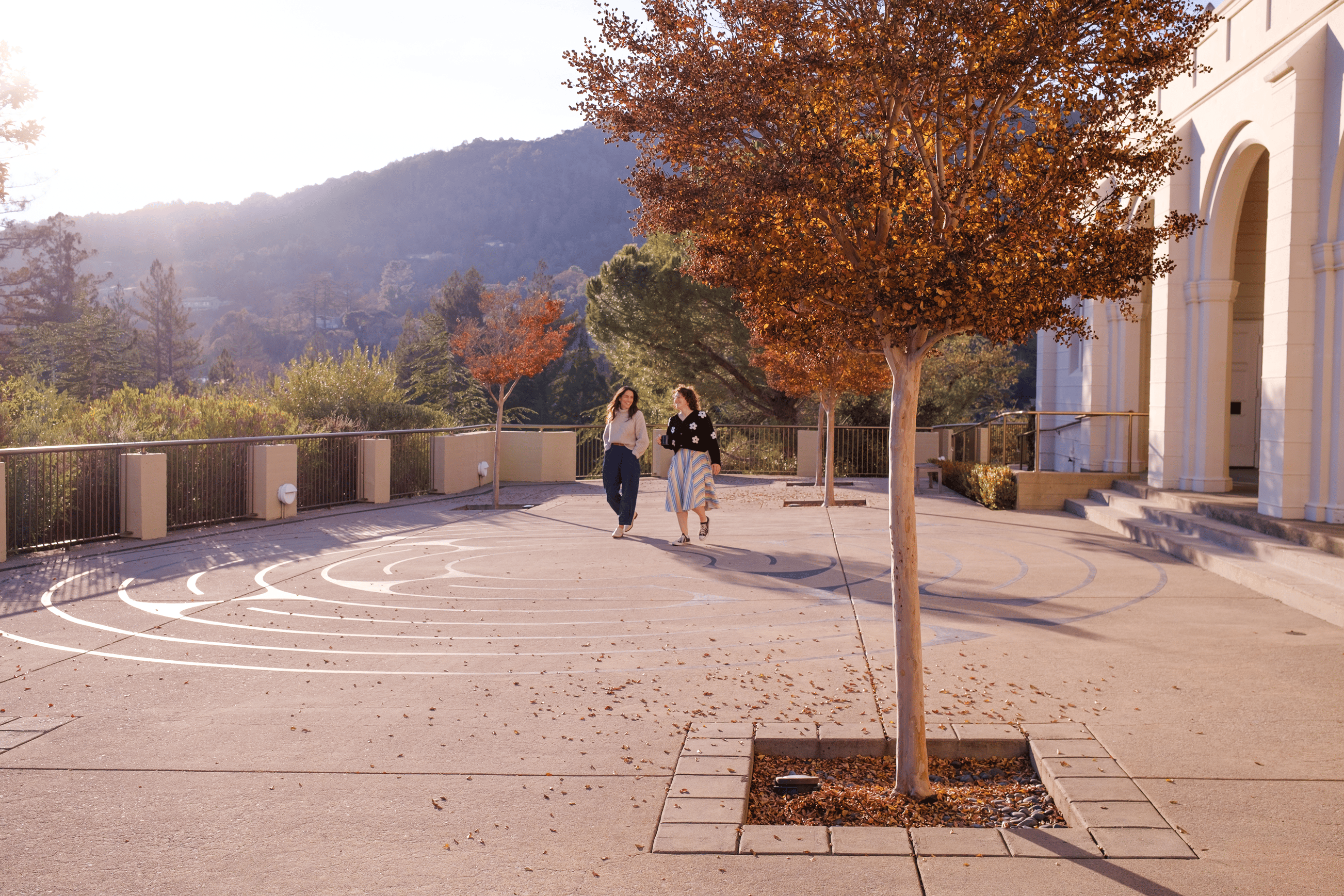 two women walking on a path with a tree and a fence