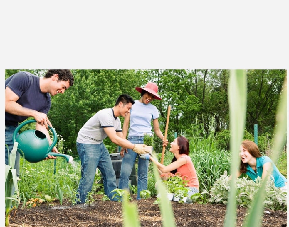 a group of people working in a garden