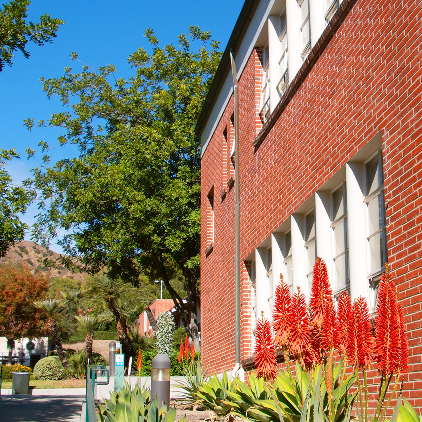 a brick building with red flowers