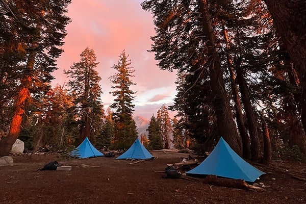 tents in a forest with trees and mountains in the background