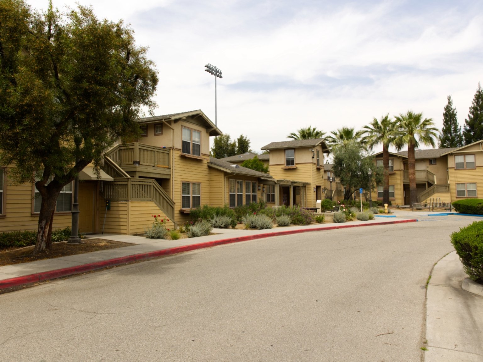 a street with houses and trees