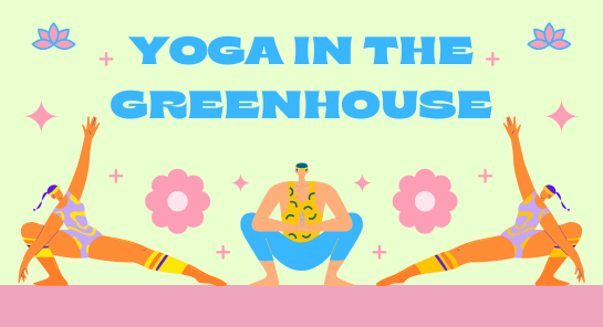 a group of people doing yoga