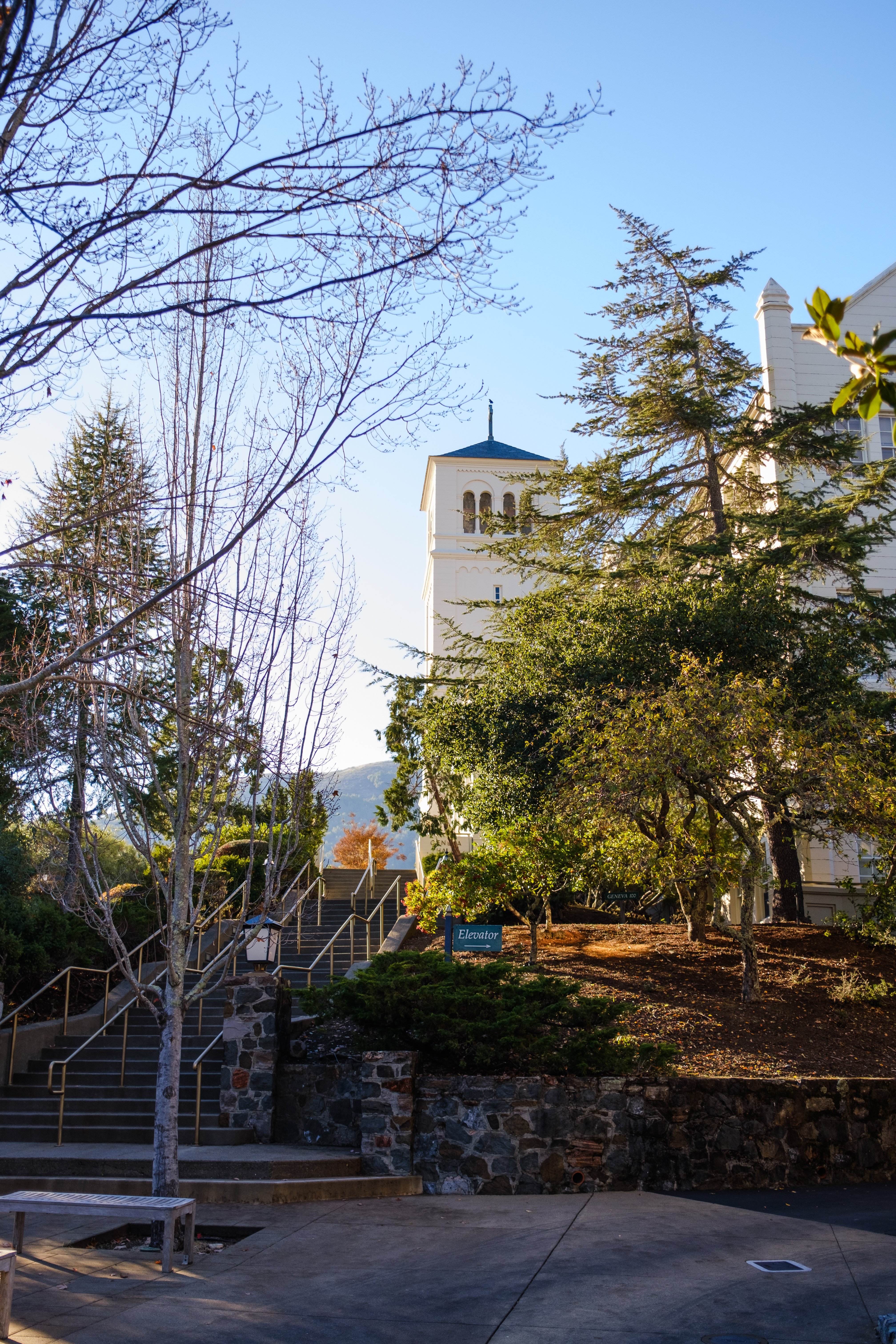 a white building with trees and stairs