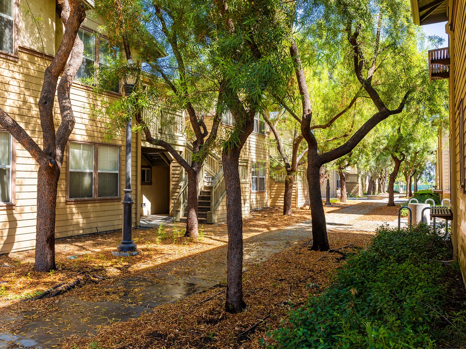 a row of trees in front of a building