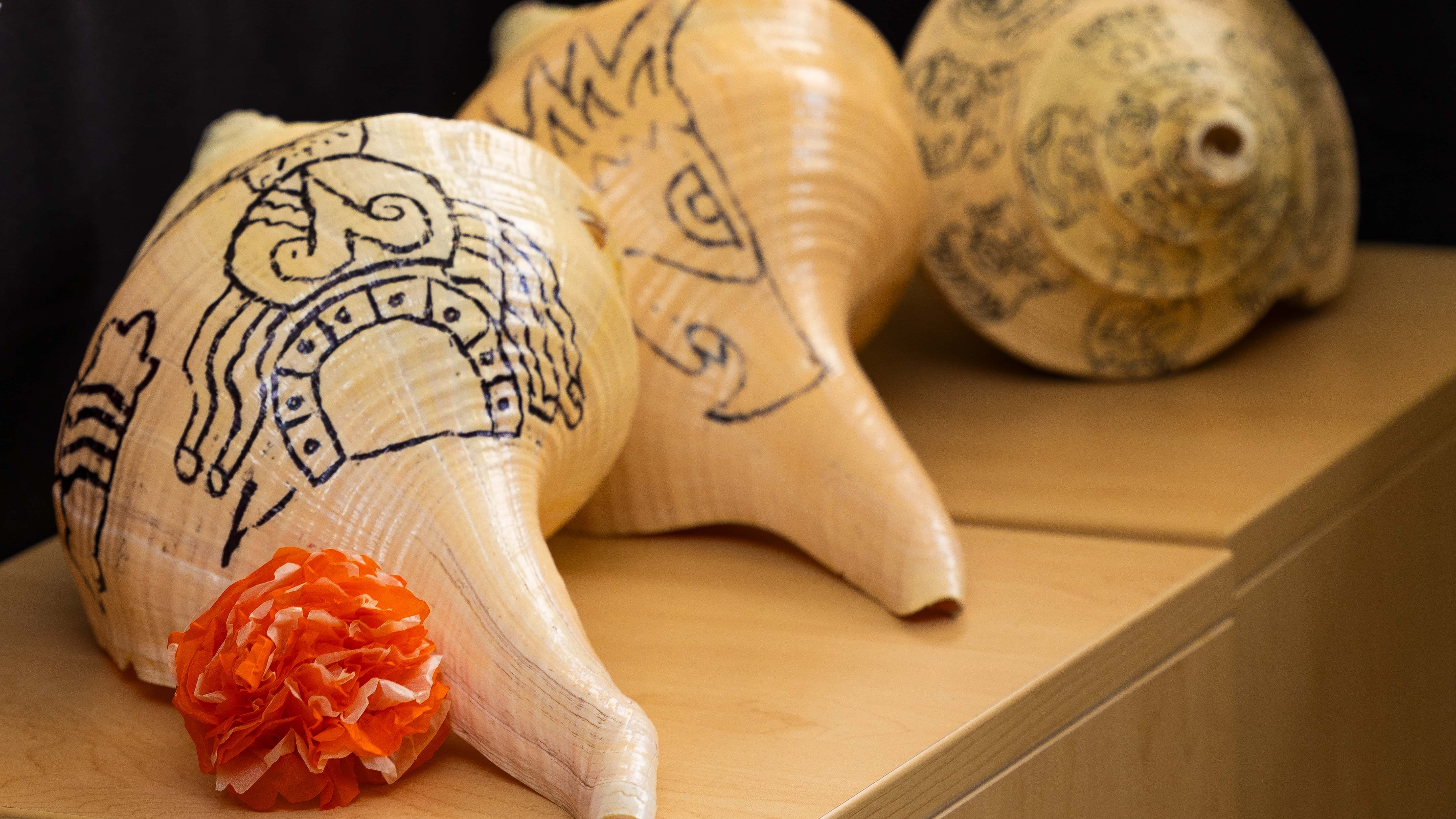 a group of shells with drawings on them