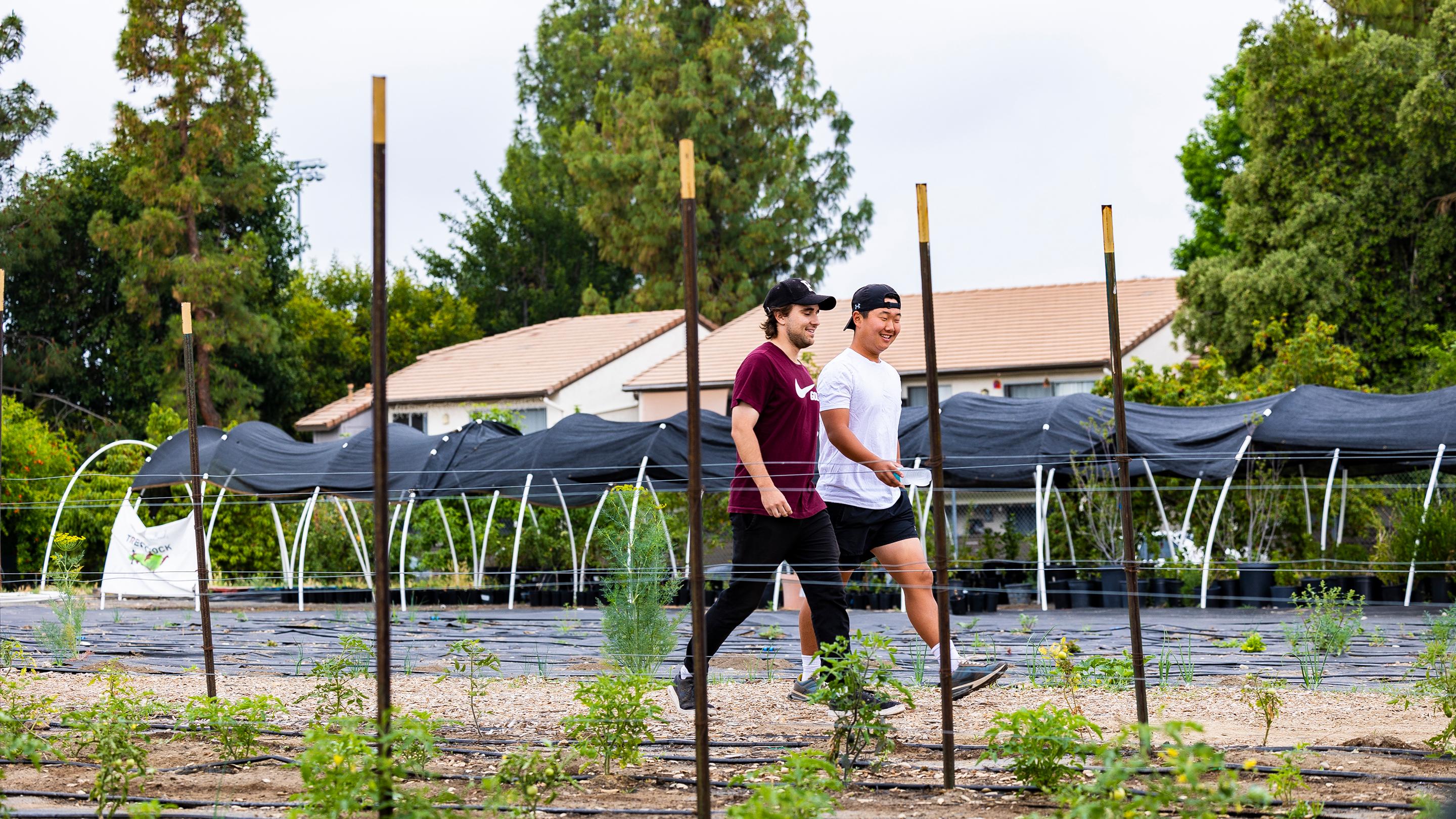 two men walking in a garden