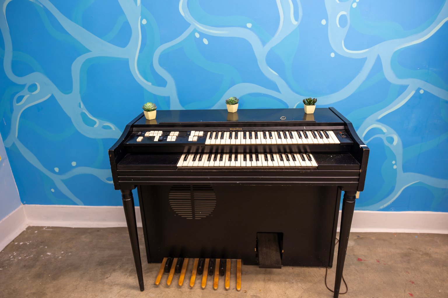 a piano with a cactus on top