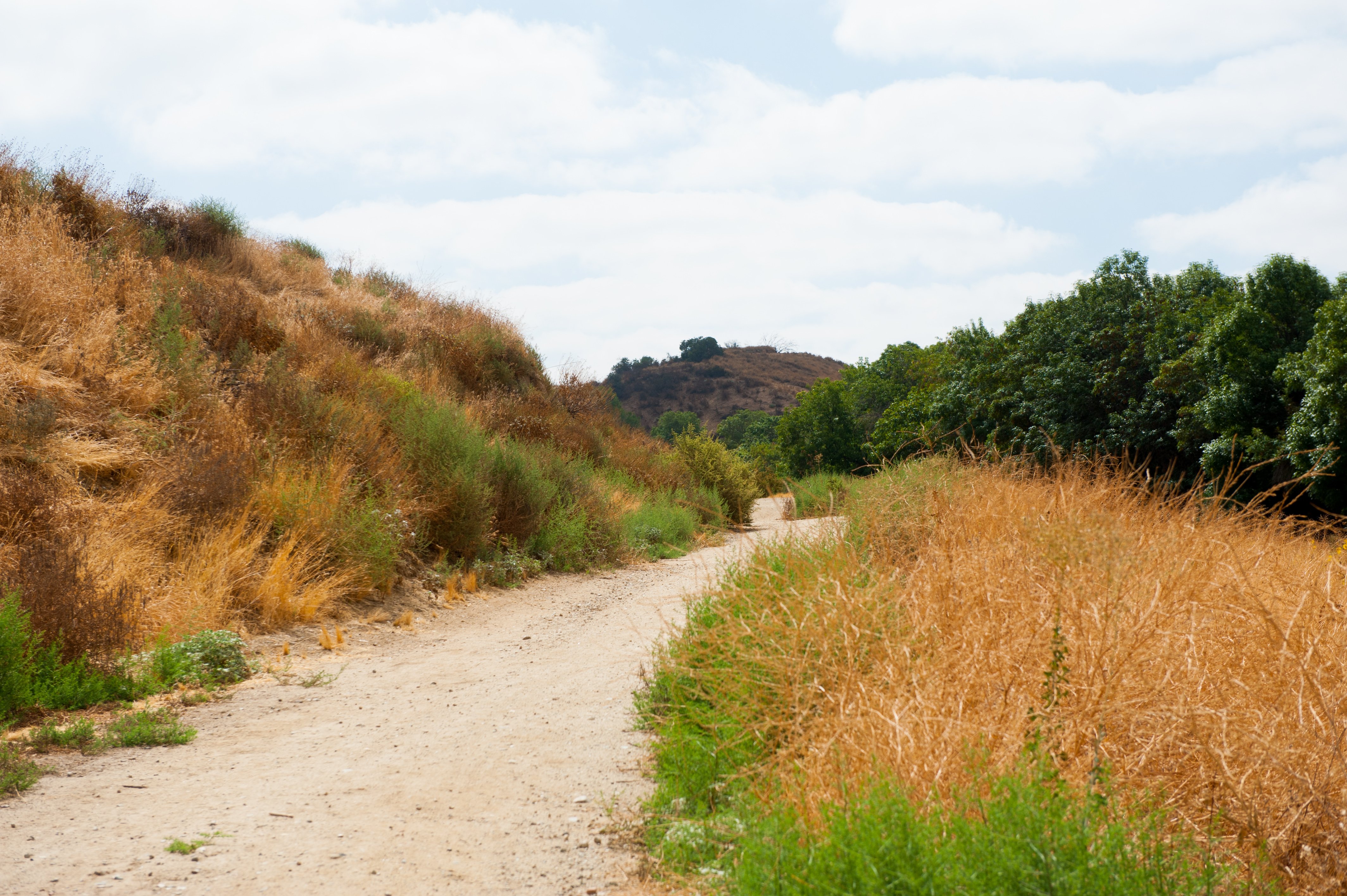a dirt road through a grassy hill