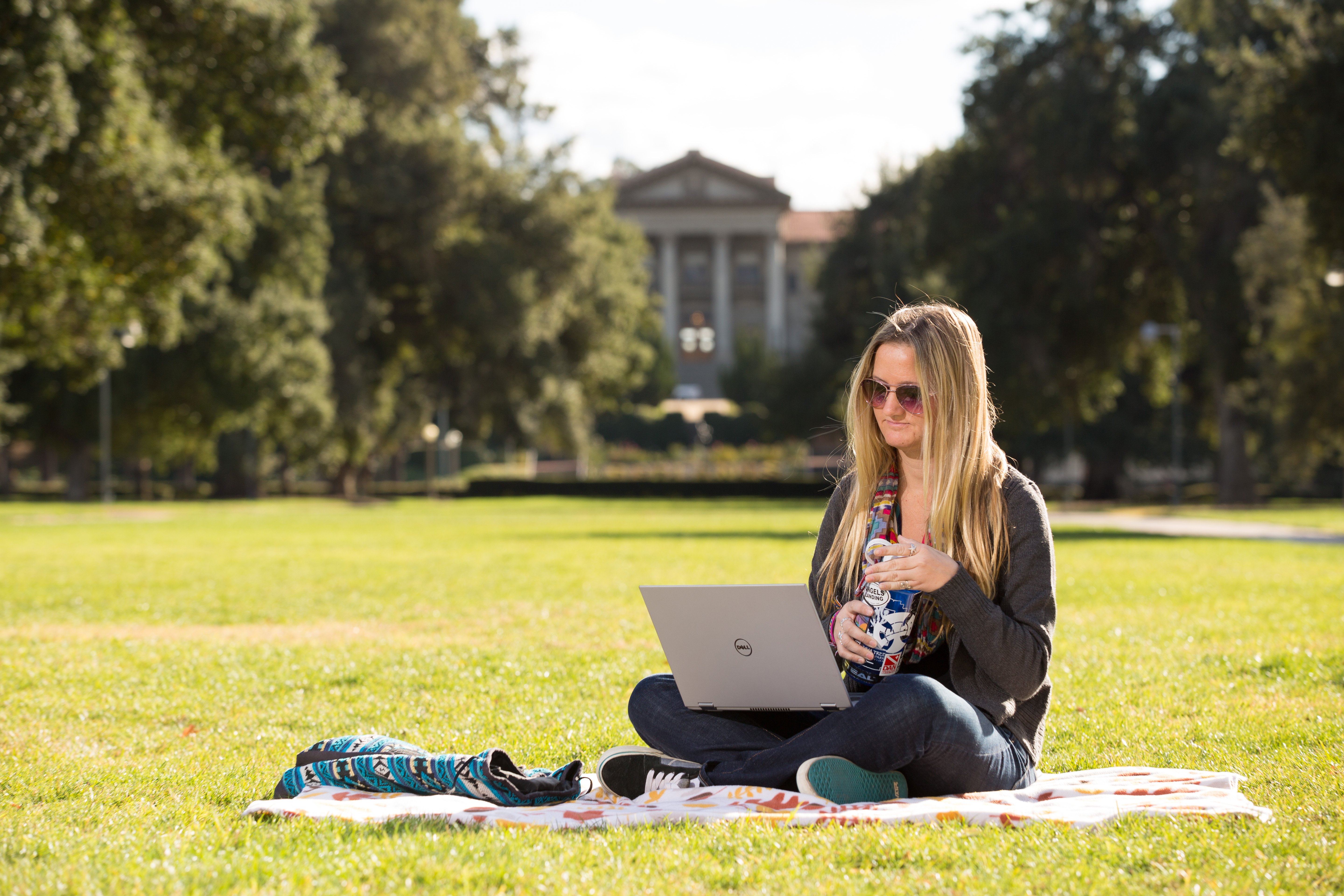 a woman sitting on a blanket in a park with a laptop