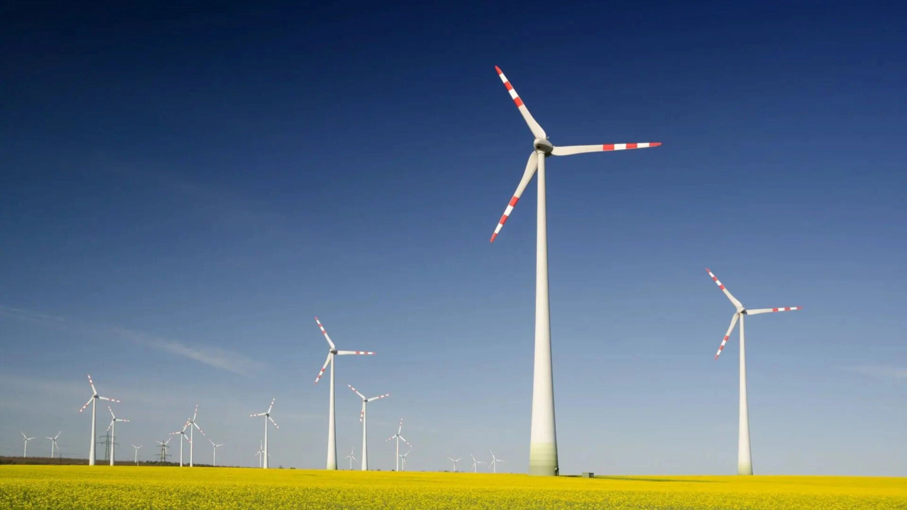 a group of windmills in a field with Wind Wand in the background