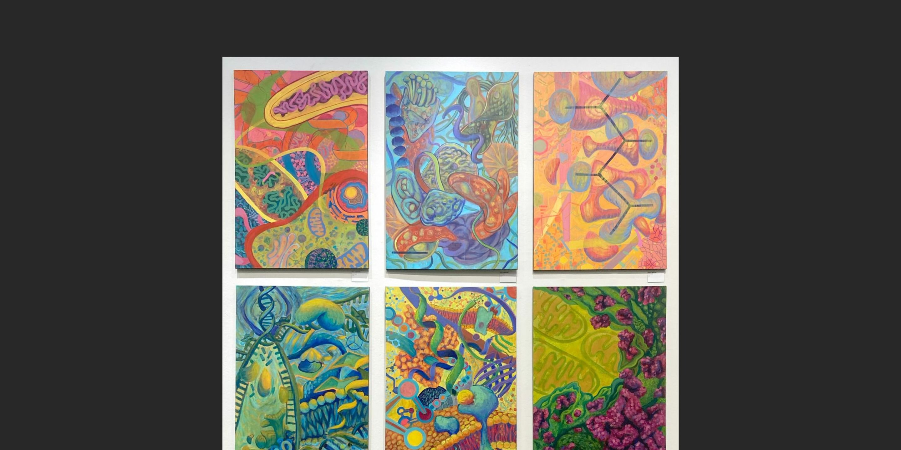 a screenshot of a cell phone