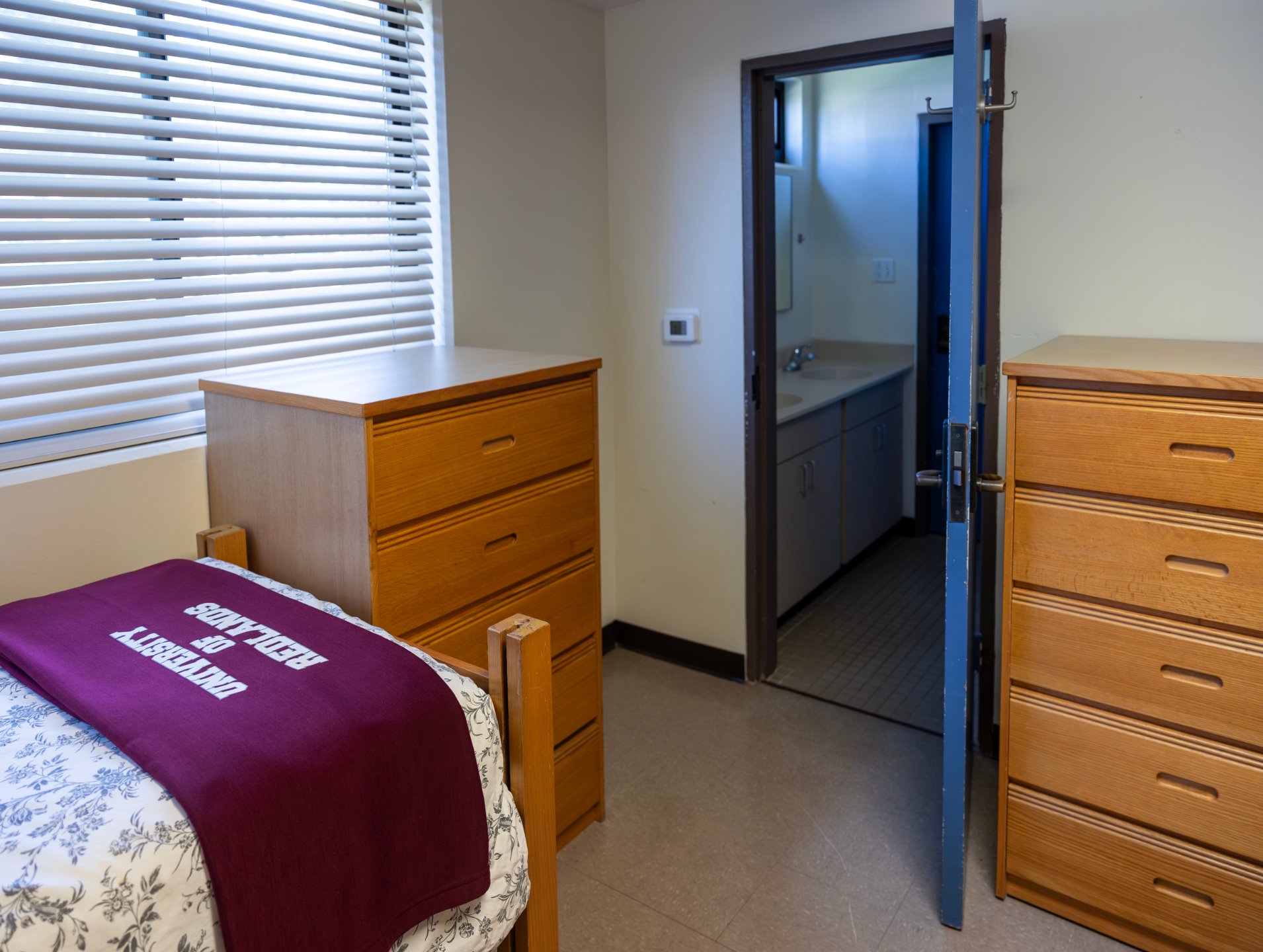 a bedroom with a bed and dresser