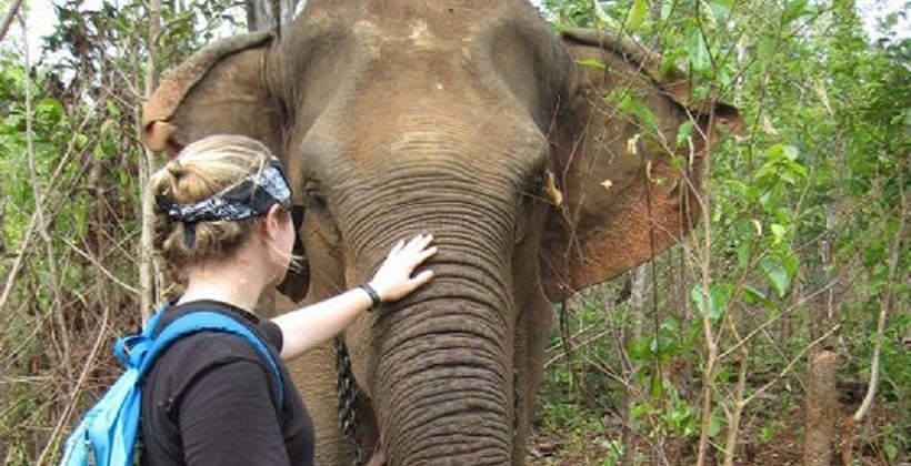 a woman touching an elephant's trunk
