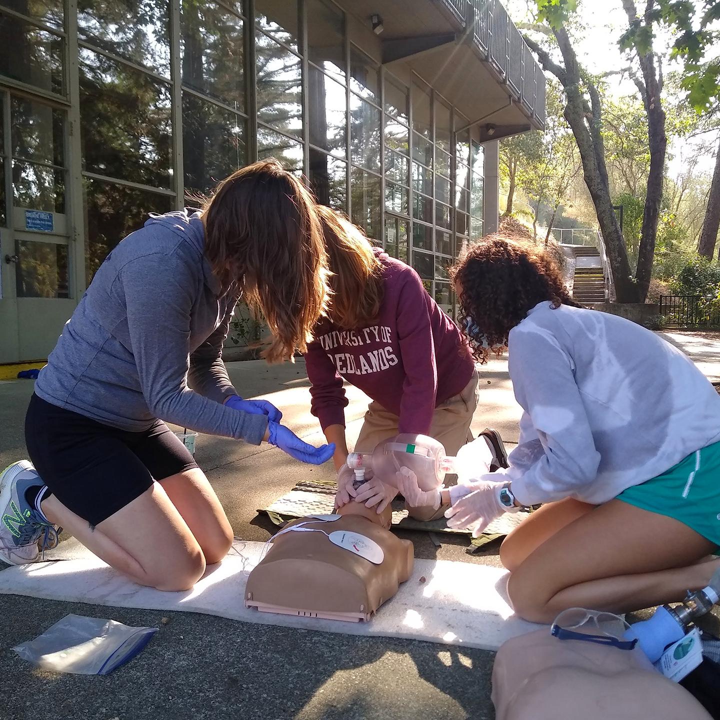 a group of people on a blanket