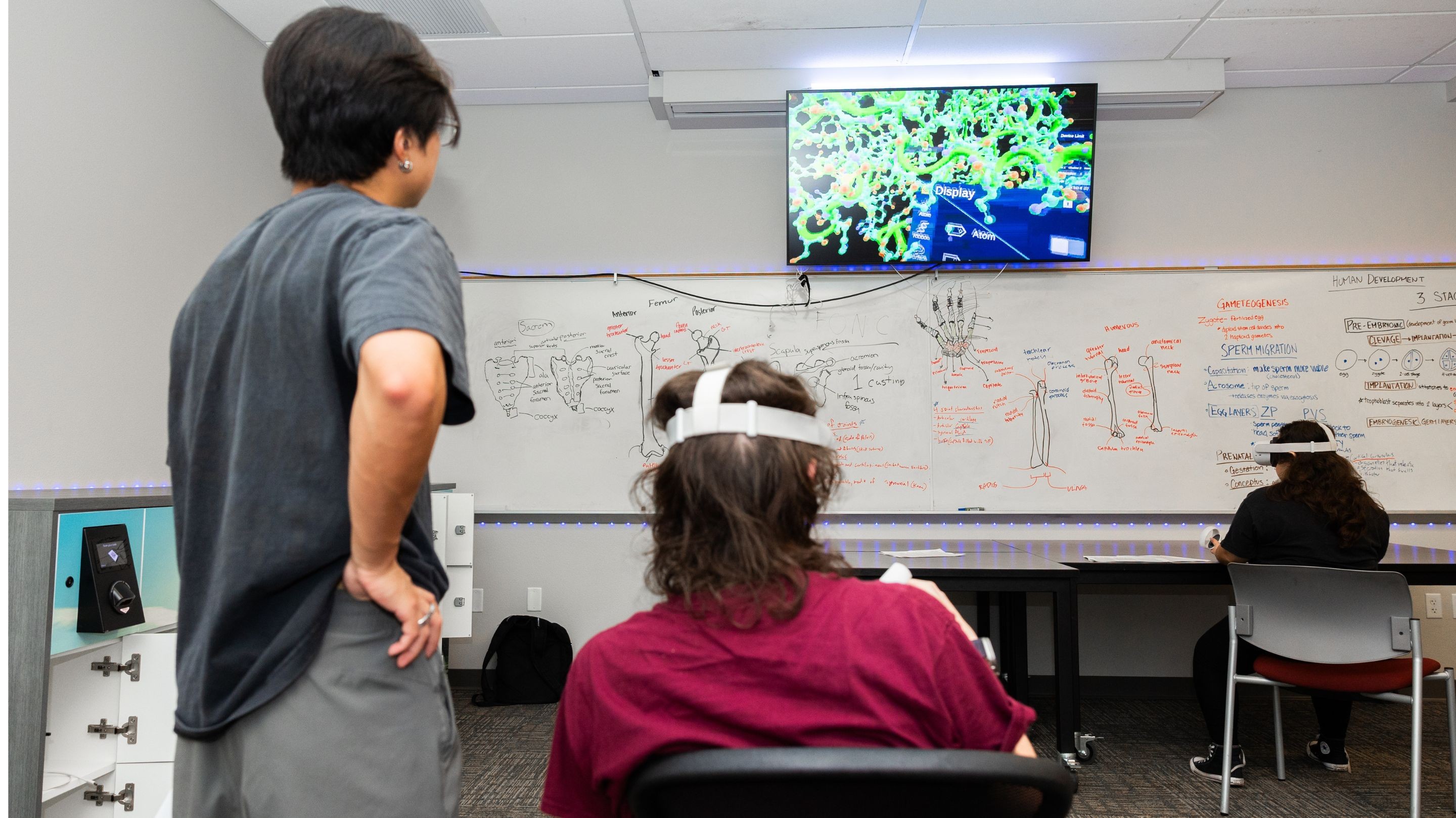 Biology VR course (1)