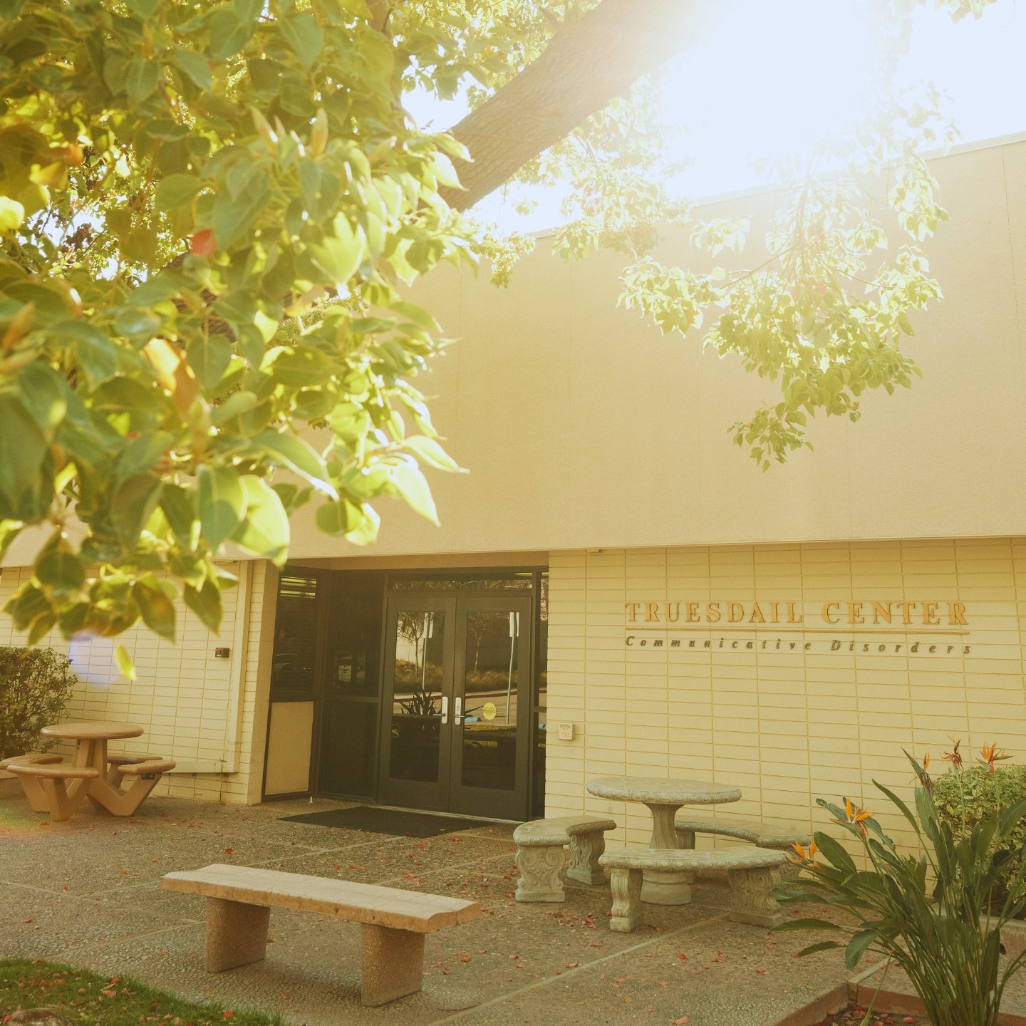 Truesdail Center Clinic