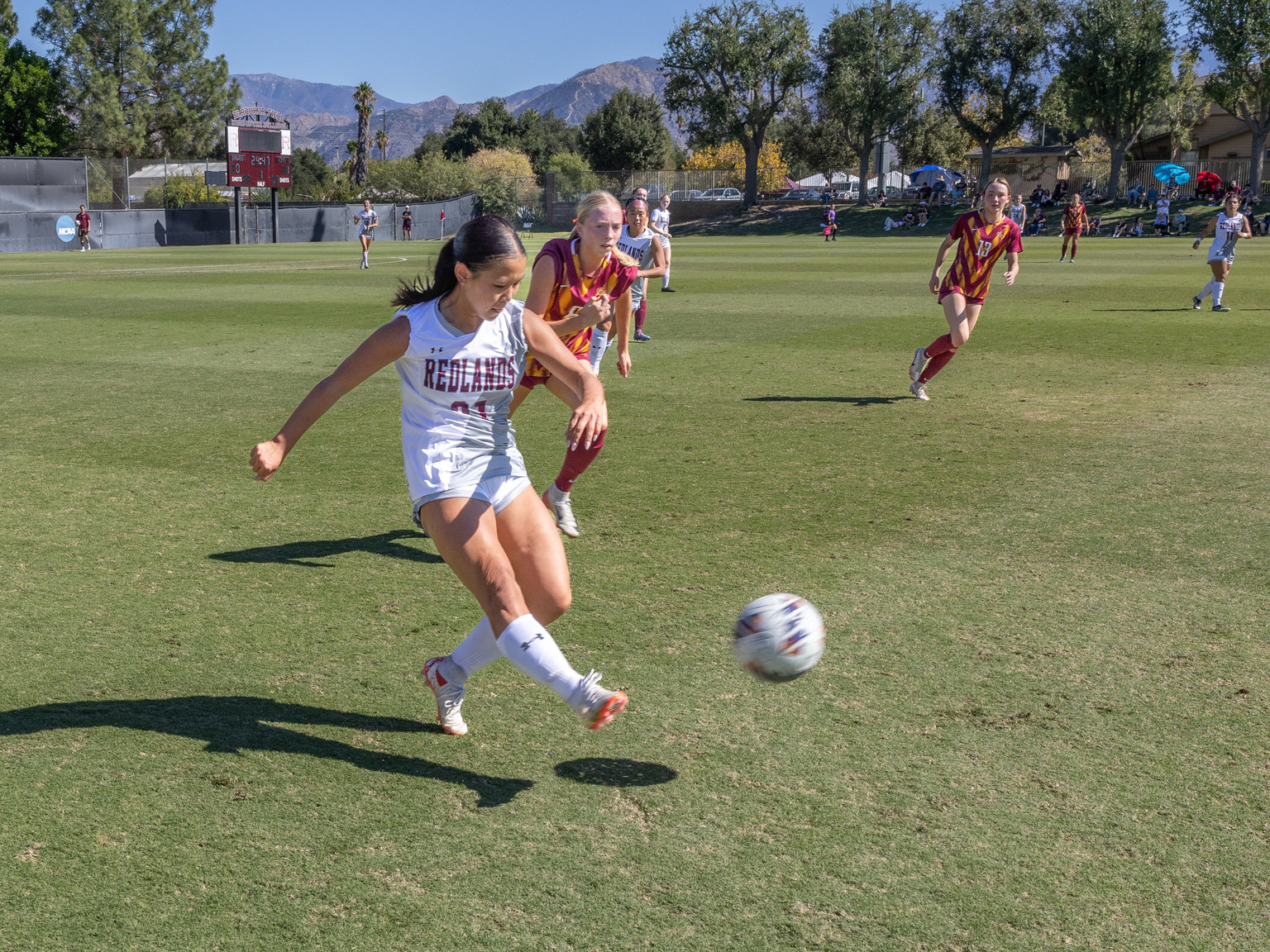 Bulldog-Bench-1536x1152