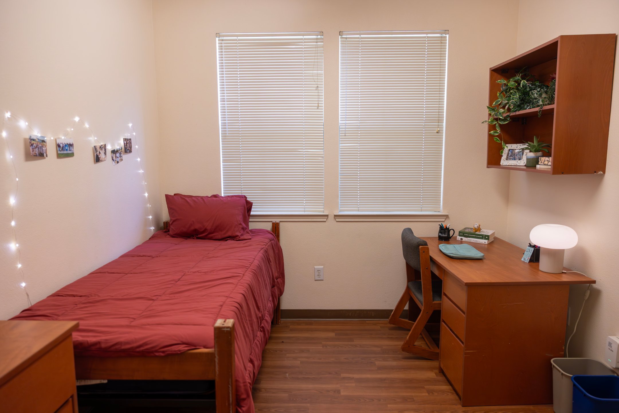 778A0961-Enhanced-NR