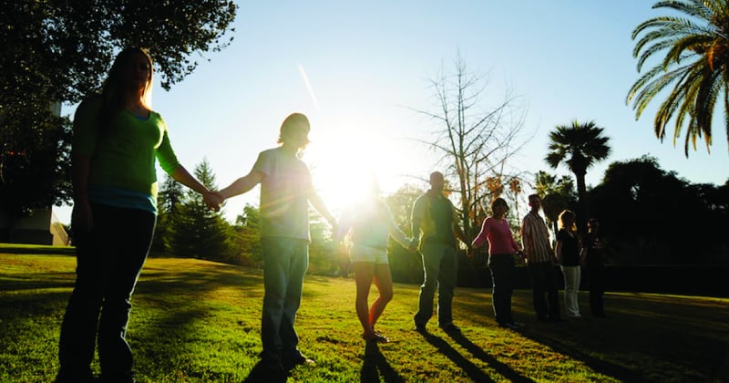 care-team-full-split