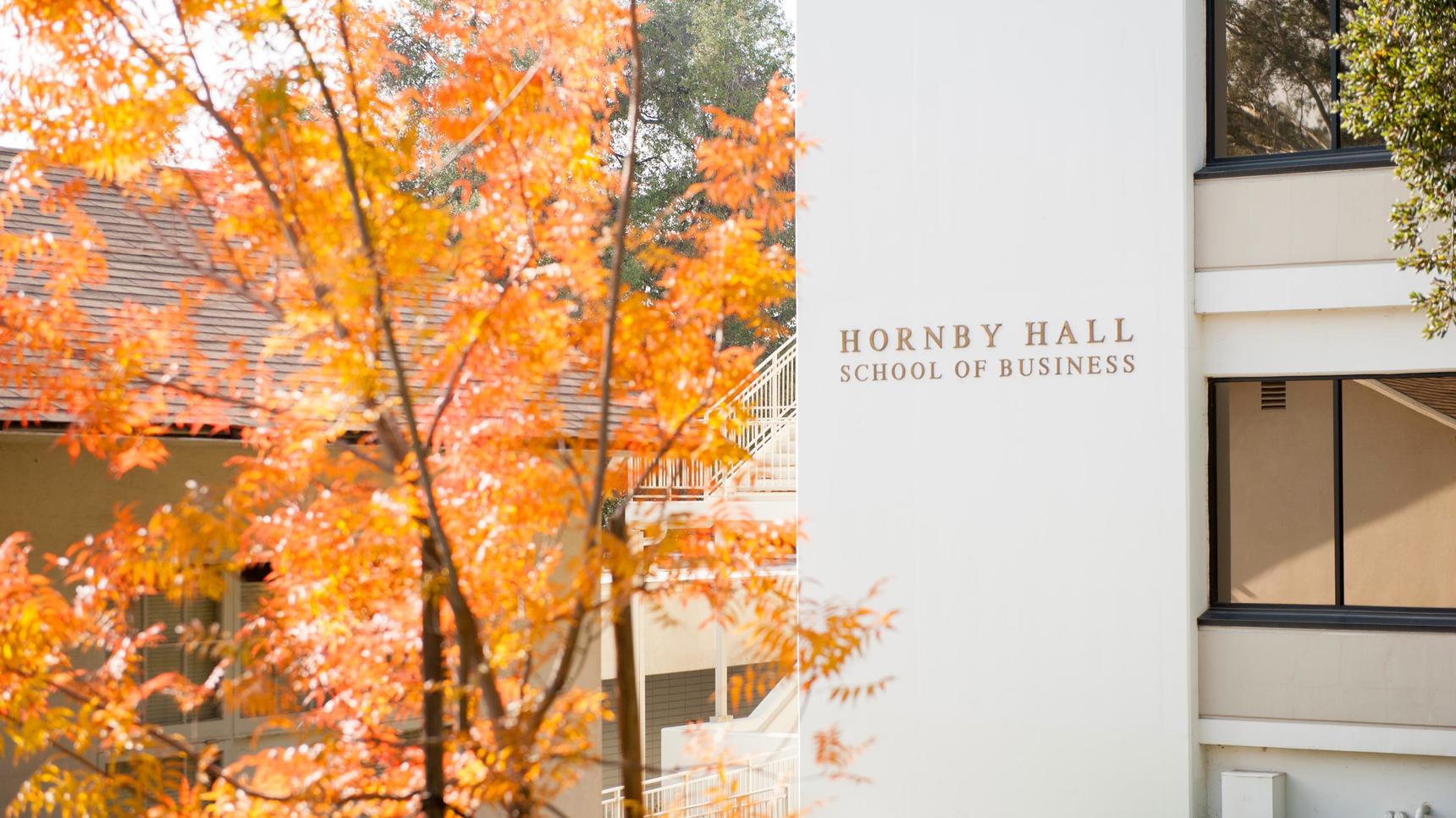 Media masthead - Hornby Hall School of Business